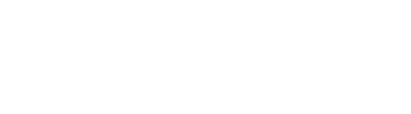 Znapio